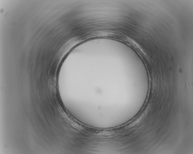 X0000073921178200609082230