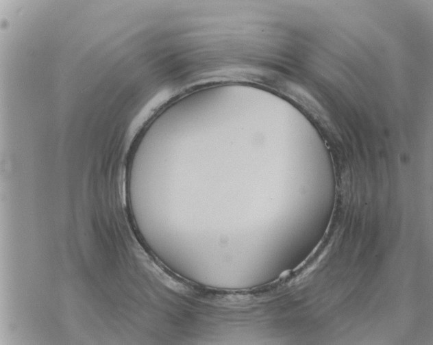 X0000073921180200609082230