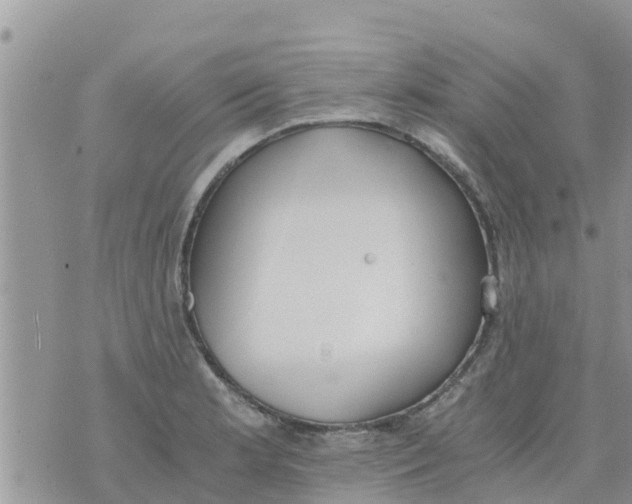 X0000073921181200609082230