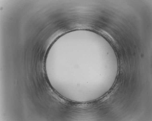 X0000073921182200609082230