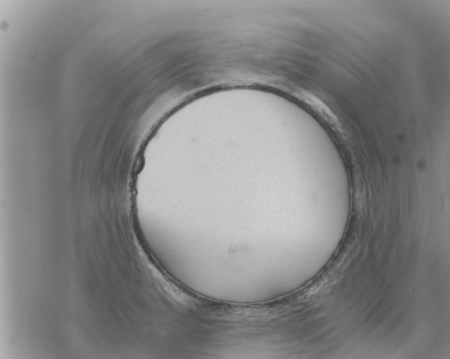 X0000073921183200609082230