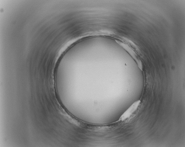 X0000073921184200609082230