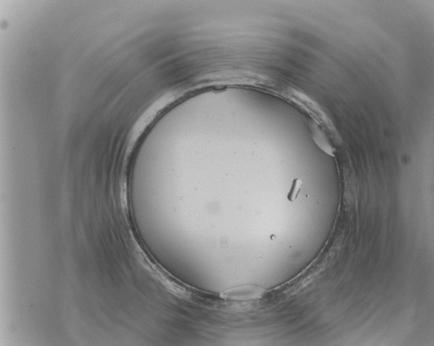 X0000073921188200609082230