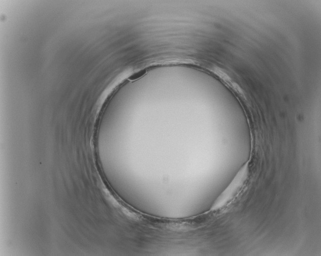 X0000073921189200609082230