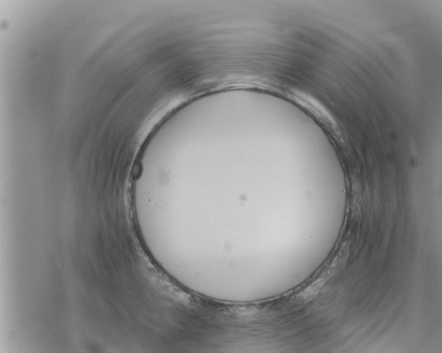 X0000073921190200609082230