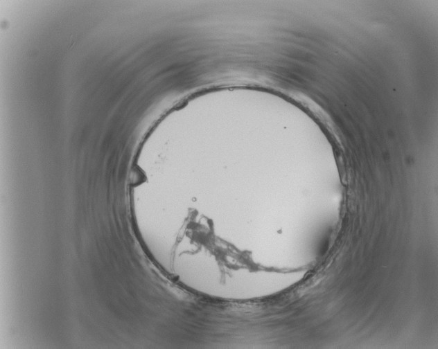 X0000073921191200609082230