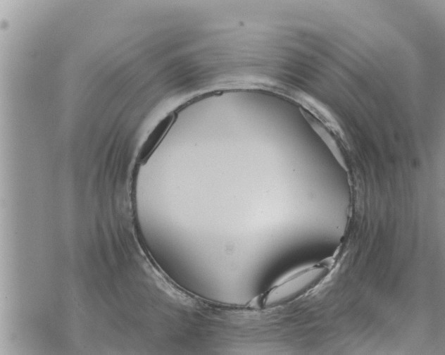 X0000073921192200609082230