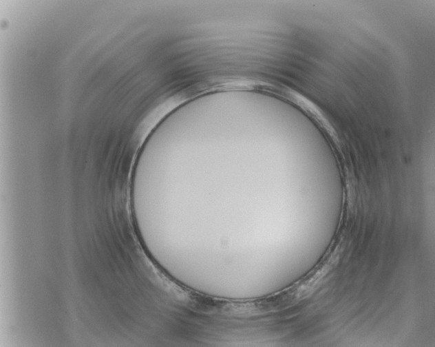 X0000073921194200609082230