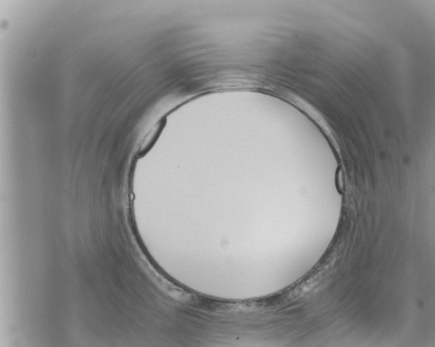 X0000073921195200609082230