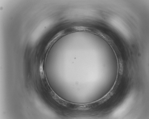 X0000073921198200609082230