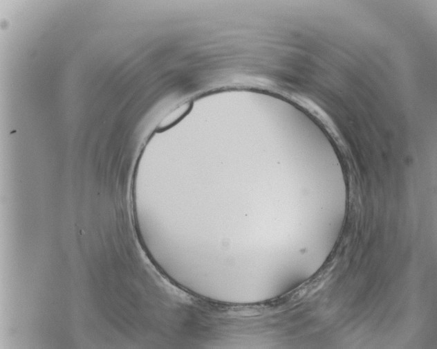 X0000073921199200609082230