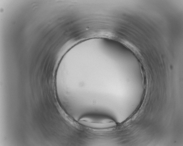 X0000073921200200609082230