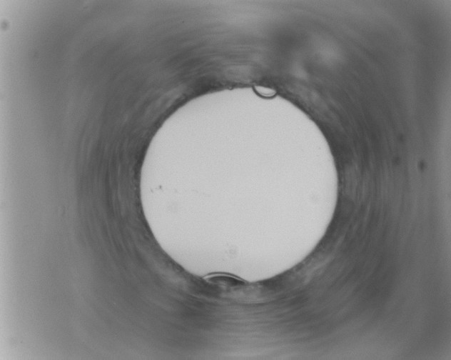 X0000073921201200609082229