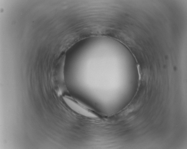 X0000073921202200609082229