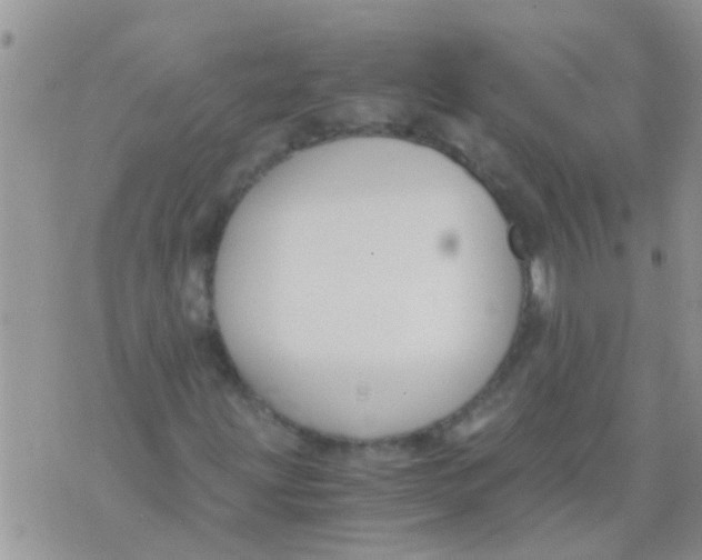 X0000073921203200609082229