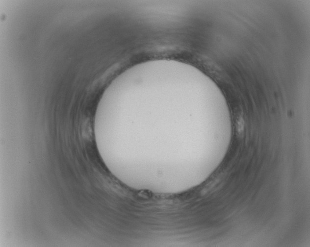 X0000073921204200609082229