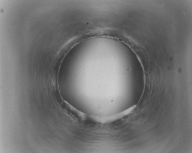 X0000073921206200609082229