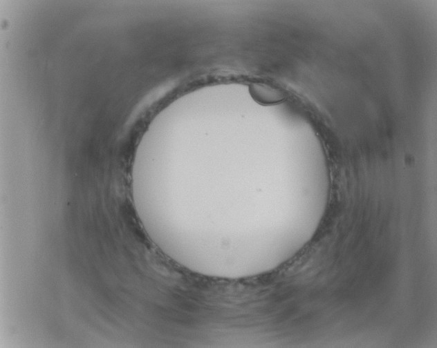 X0000073921207200609082229