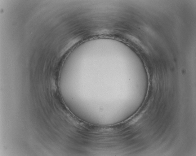 X0000073921209200609082229