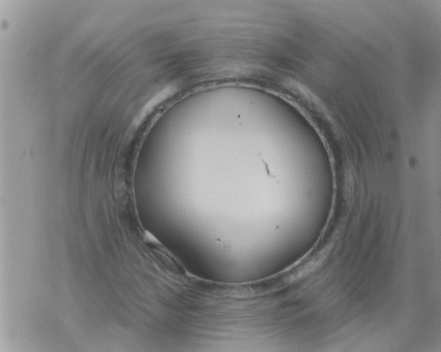 X0000073921210200609082229