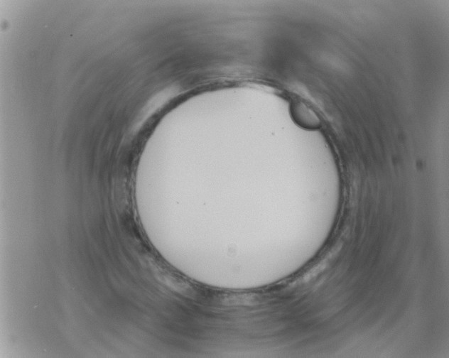 X0000073921211200609082229