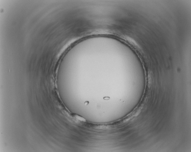 X0000073921212200609082229