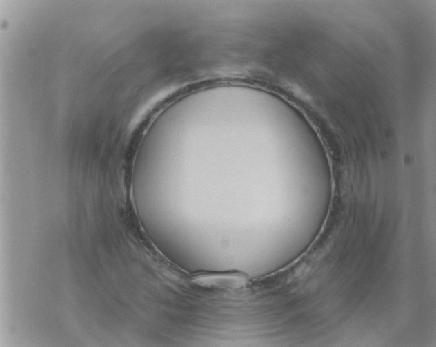 X0000073921214200609082229