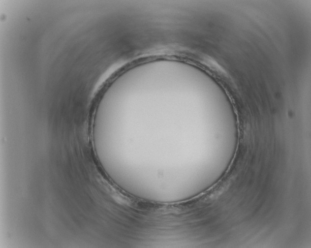 X0000073921216200609082229