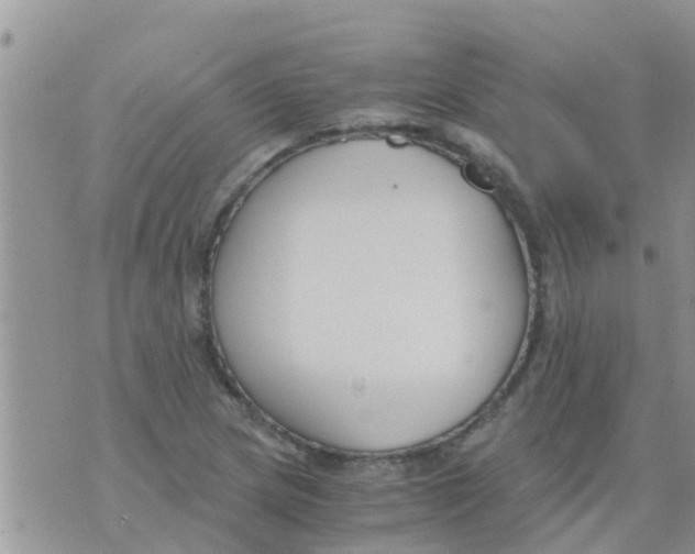 X0000073921217200609082229