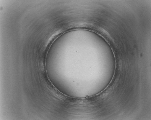 X0000073921218200609082229