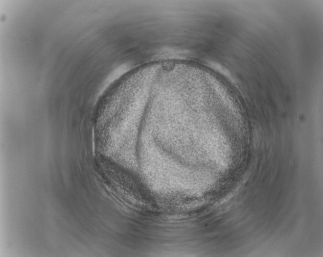 X0000073921219200609082229