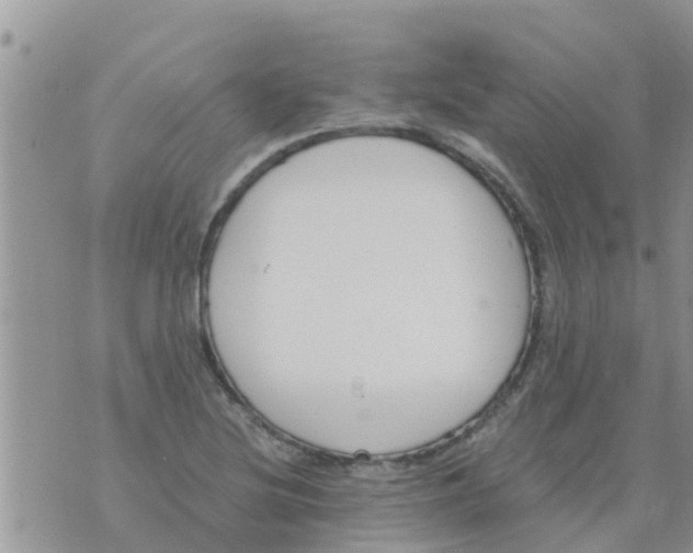 X0000073921220200609082229