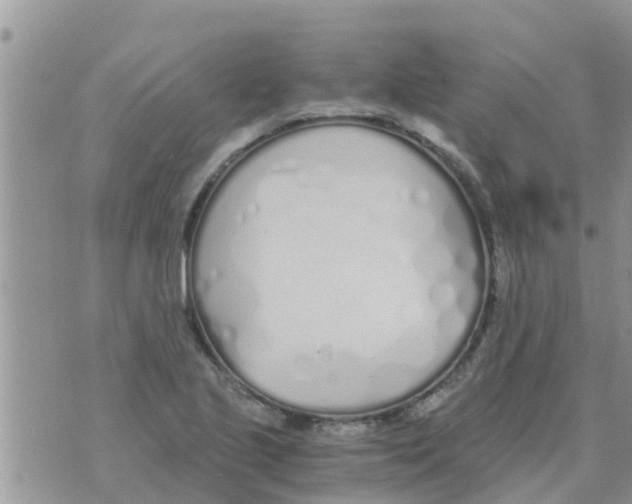 X0000073921221200609082229