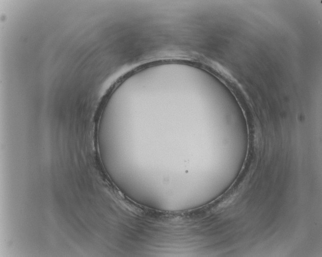 X0000073921222200609082229