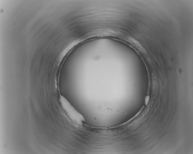 X0000073921226200609082229