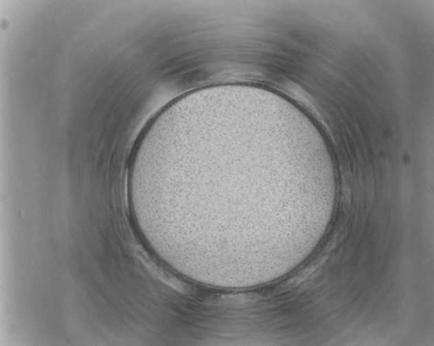 X0000073921227200609082229