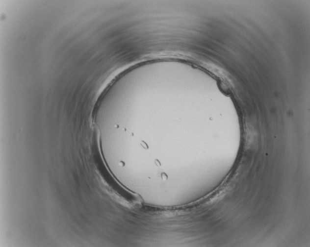 X0000073921228200609082229