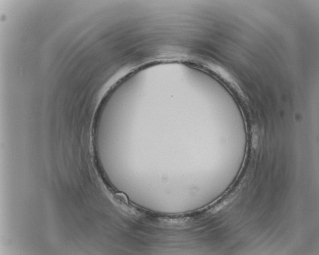 X0000073921229200609082229