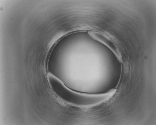 X0000073921230200609082229