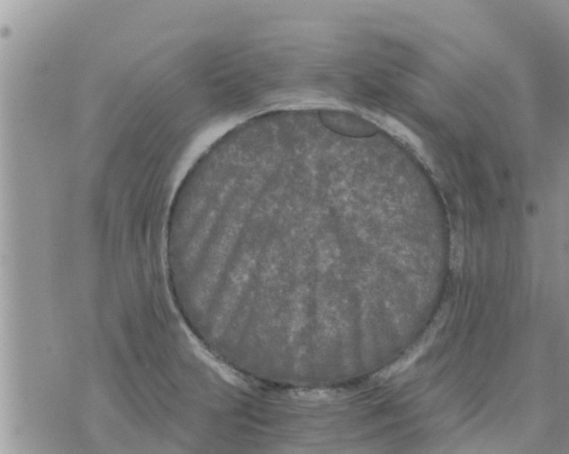 X0000073921231200609082230