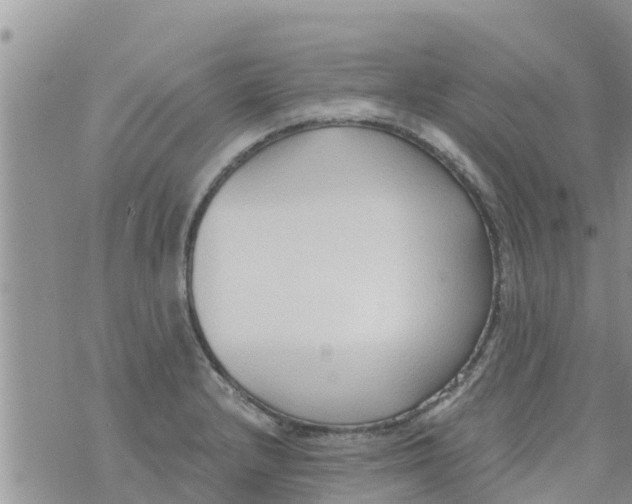 X0000073921232200609082230