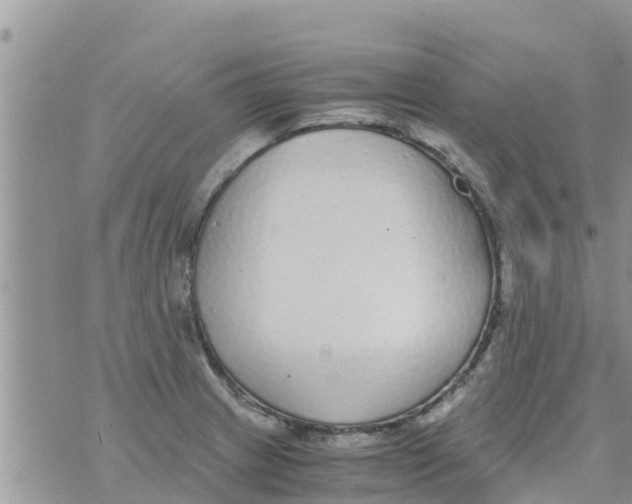 X0000073921233200609082230