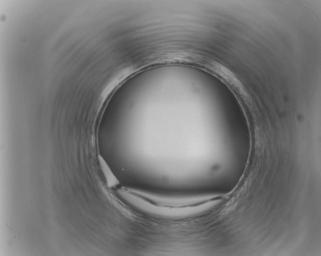 X0000073921234200609082230