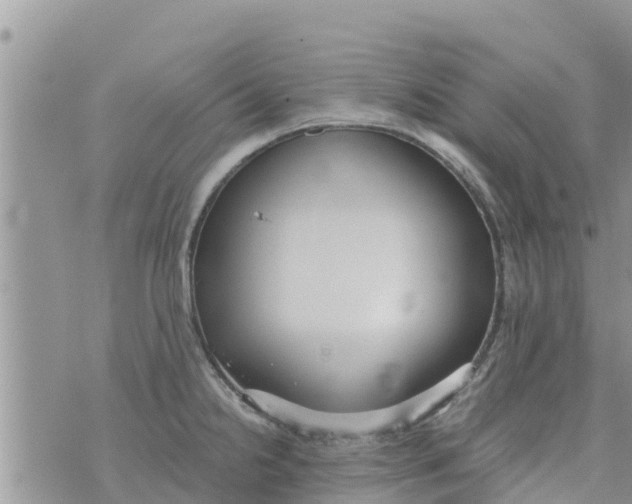 X0000073921238200609082230