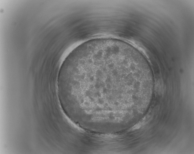 X0000073921239200609082230