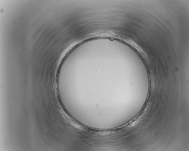 X0000073921240200609082230