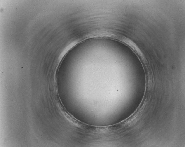 X0000073921242200609082230