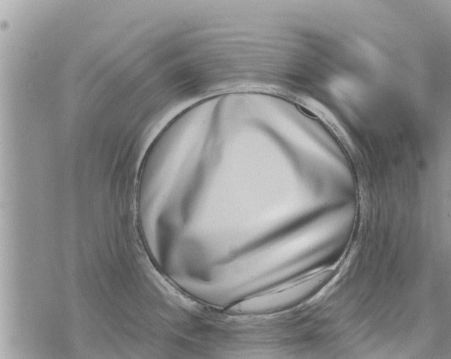 X0000073921244200609082230