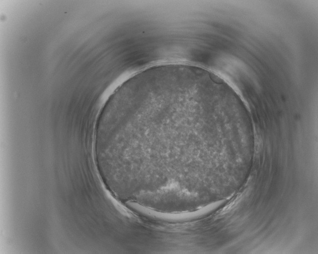 X0000073921245200609082230