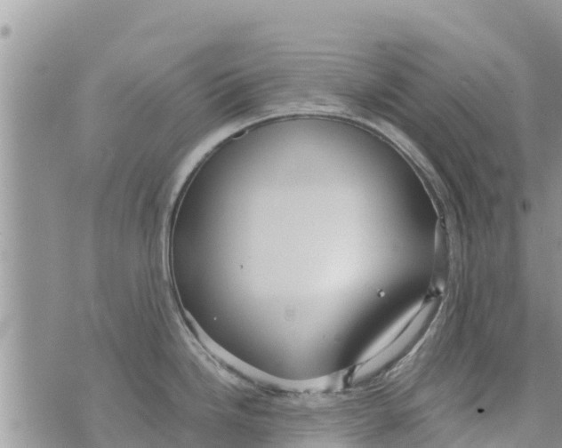 X0000073921246200609082230